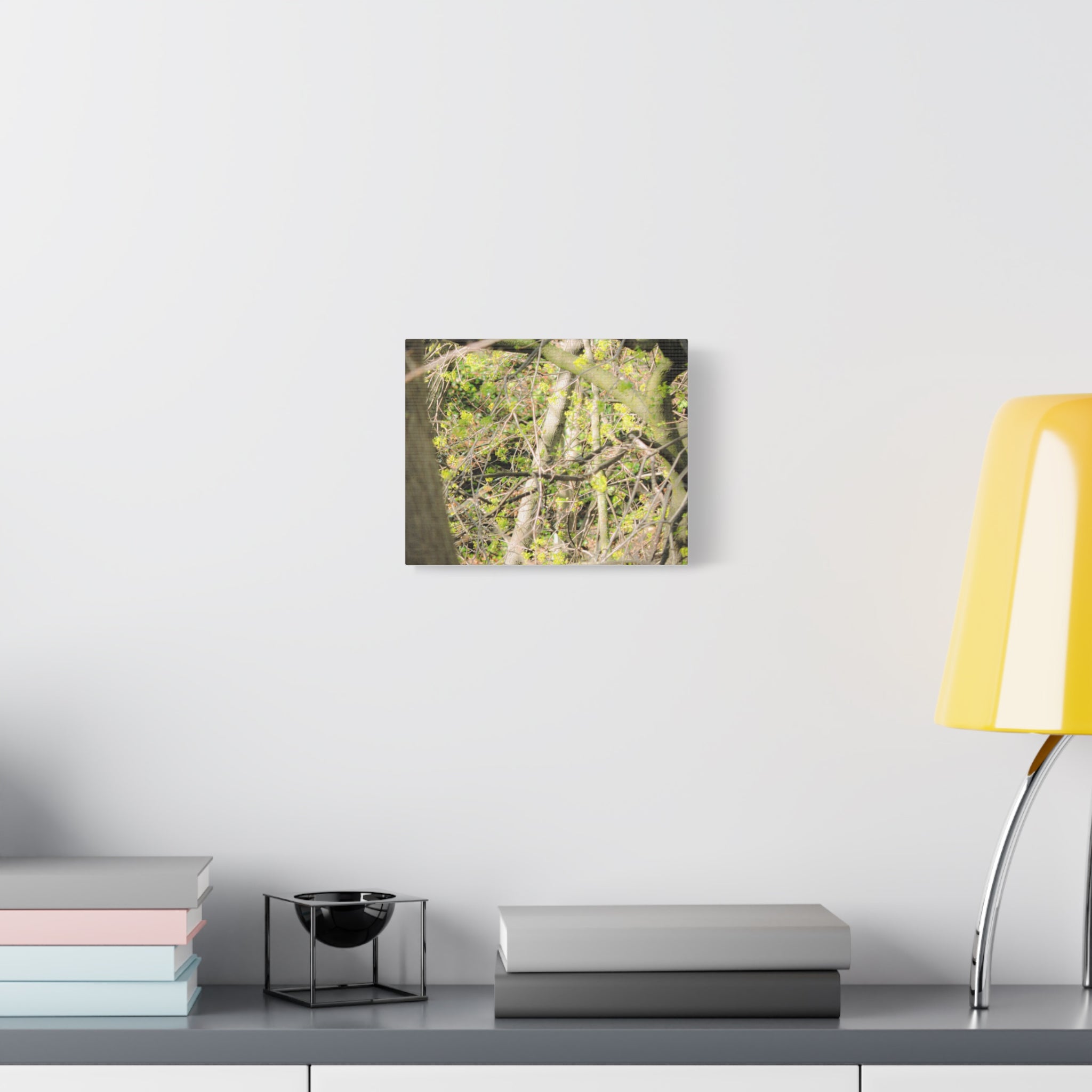 Spring Woodland Canvas Print — Green Tree Branches Matte Stretched Wall Art