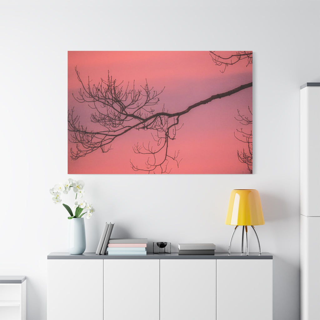 Pink Sunset Tree Canvas Print — Matte Stretched Wall Art