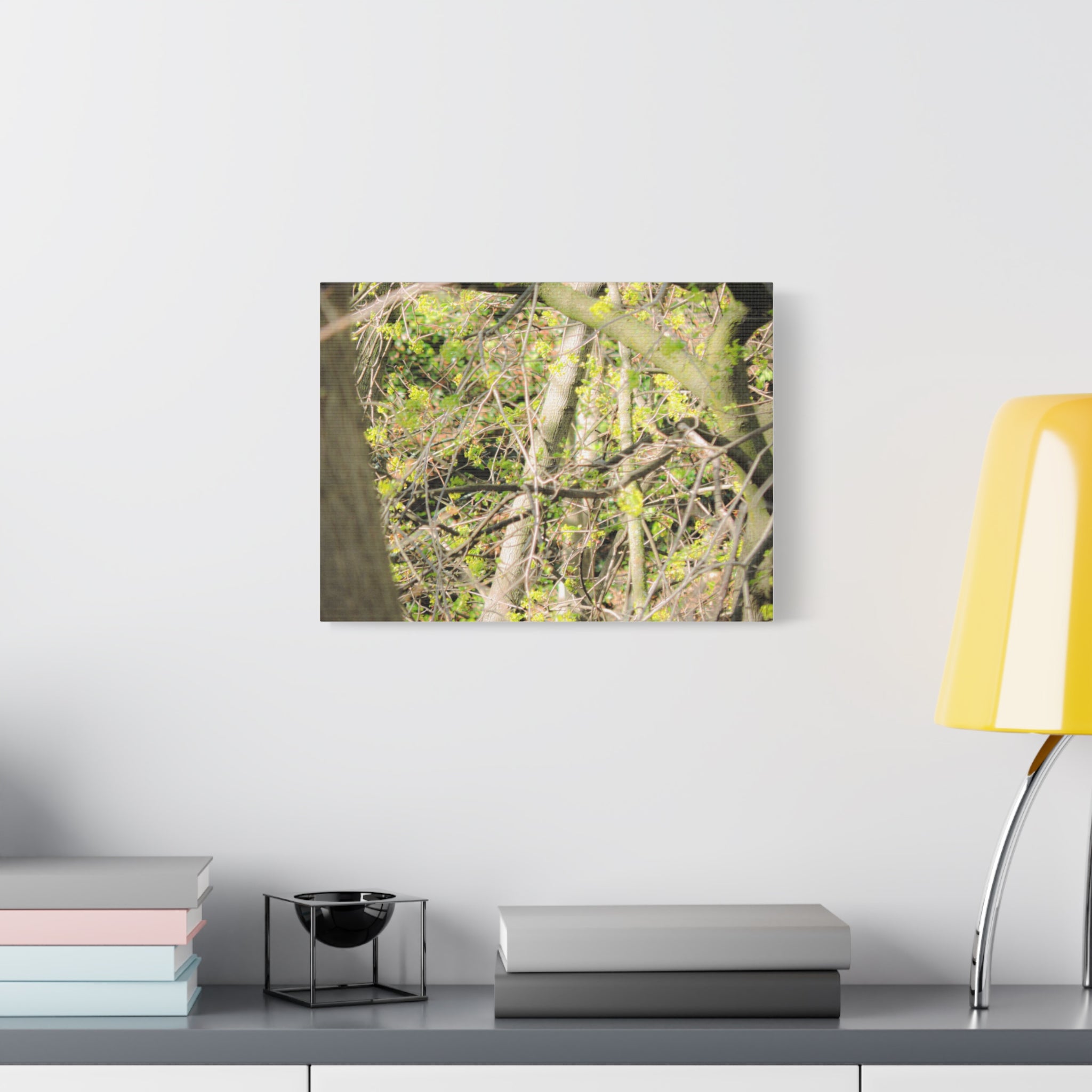 Spring Woodland Canvas Print — Green Tree Branches Matte Stretched Wall Art
