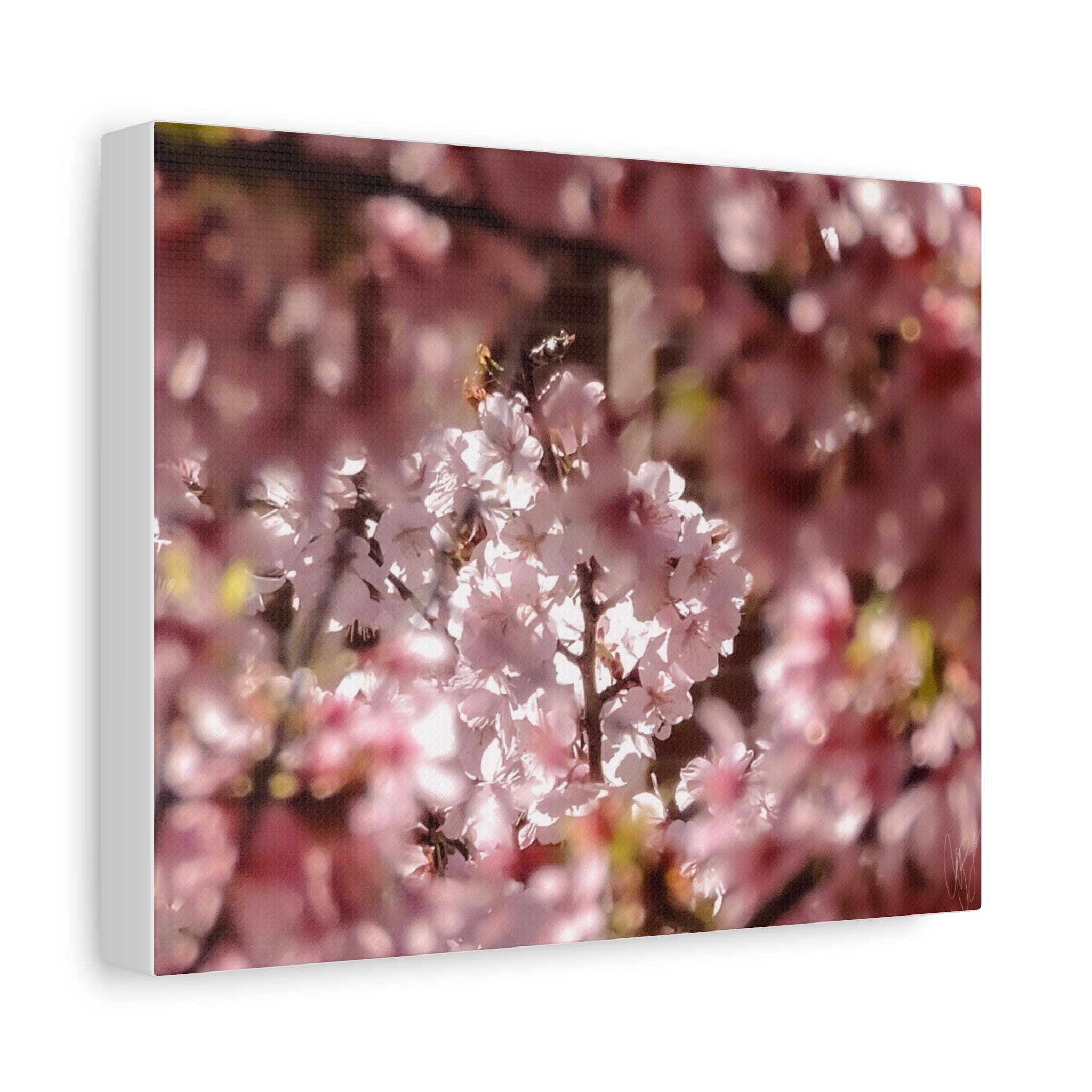 Blush Cherry Blossom Matte Canvas Print — Spring Floral Wall Art (Stretched 1.25")