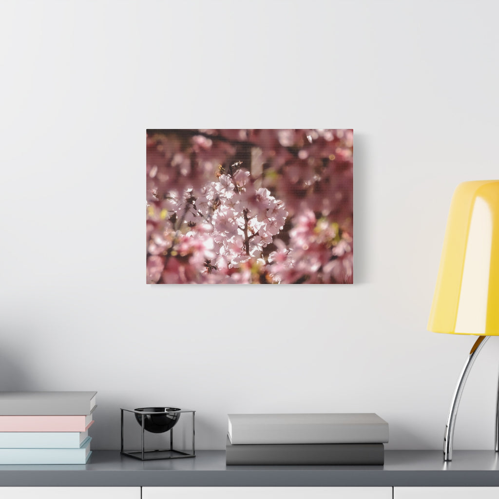 Blush Cherry Blossom Matte Canvas Print — Spring Floral Wall Art (Stretched 1.25")