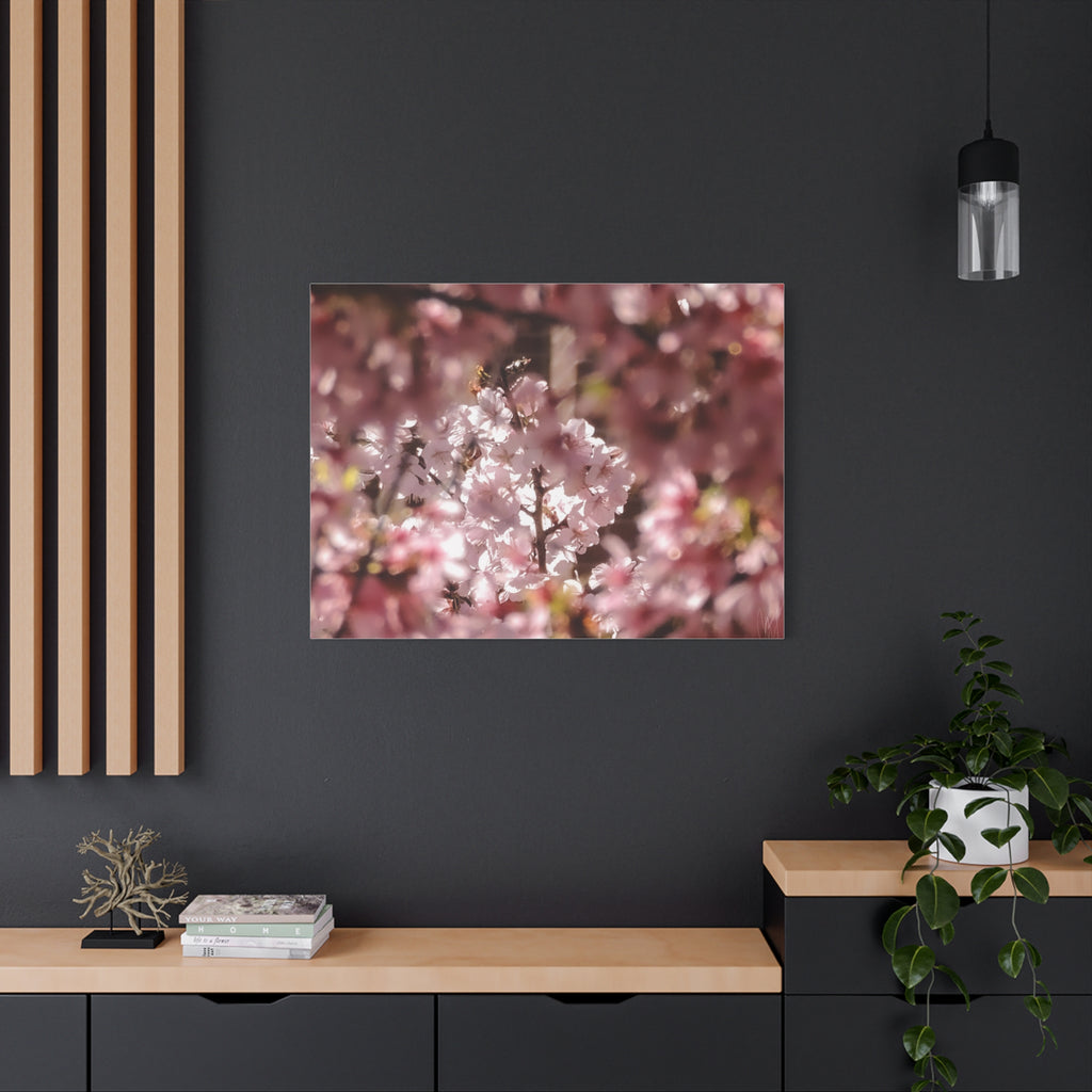 Blush Cherry Blossom Matte Canvas Print — Spring Floral Wall Art (Stretched 1.25")