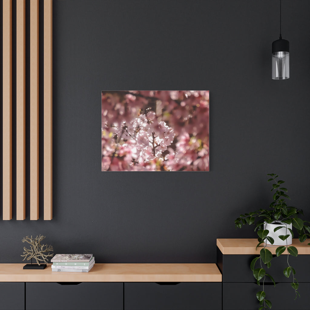 Blush Cherry Blossom Matte Canvas Print — Spring Floral Wall Art (Stretched 1.25")