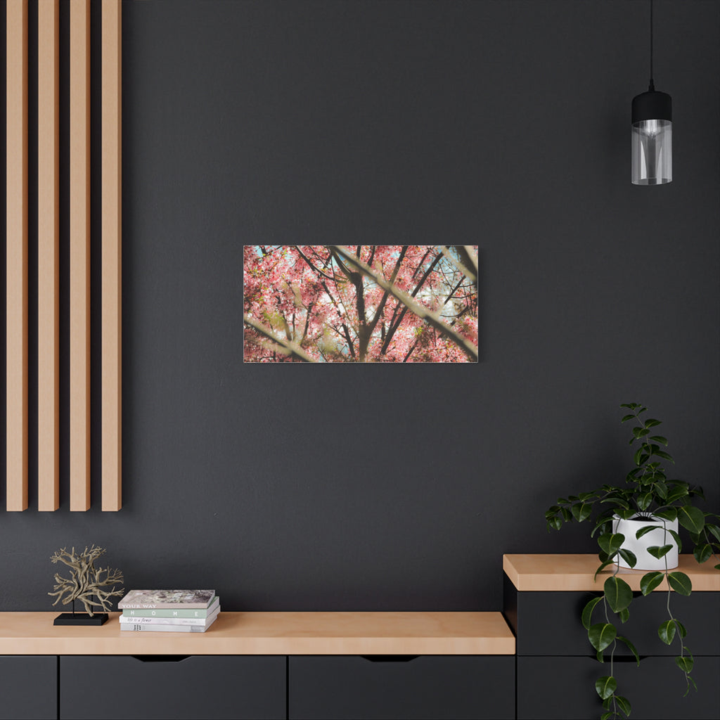 Cherry Blossom Photo Canvas Print — Stretched Matte Wall Art