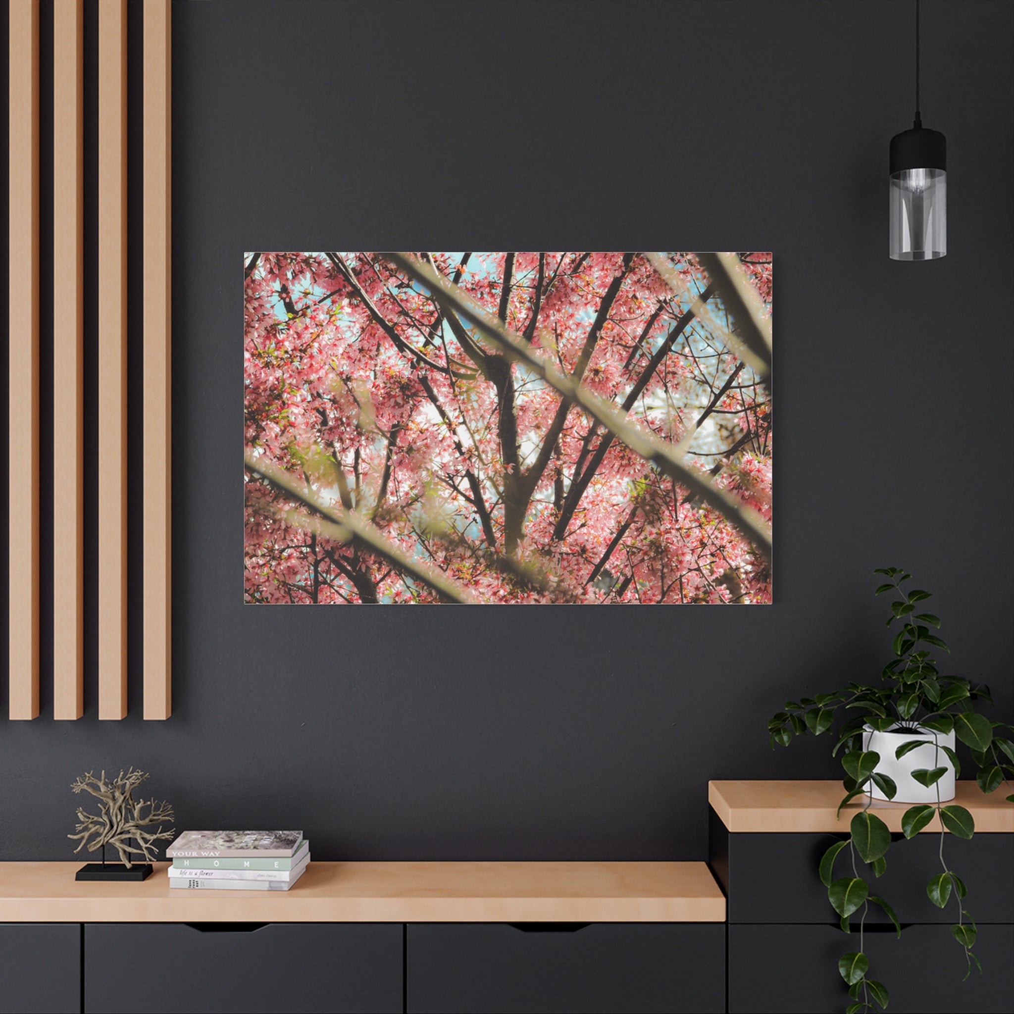 Cherry Blossom Photo Canvas Print | Brookline Spring Wall Art | A‑G Originals