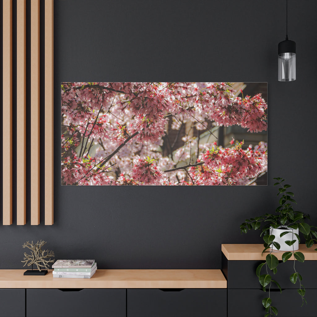 Pink Cherry Blossom Canvas Wall Art — Stretched Matte Floral Print