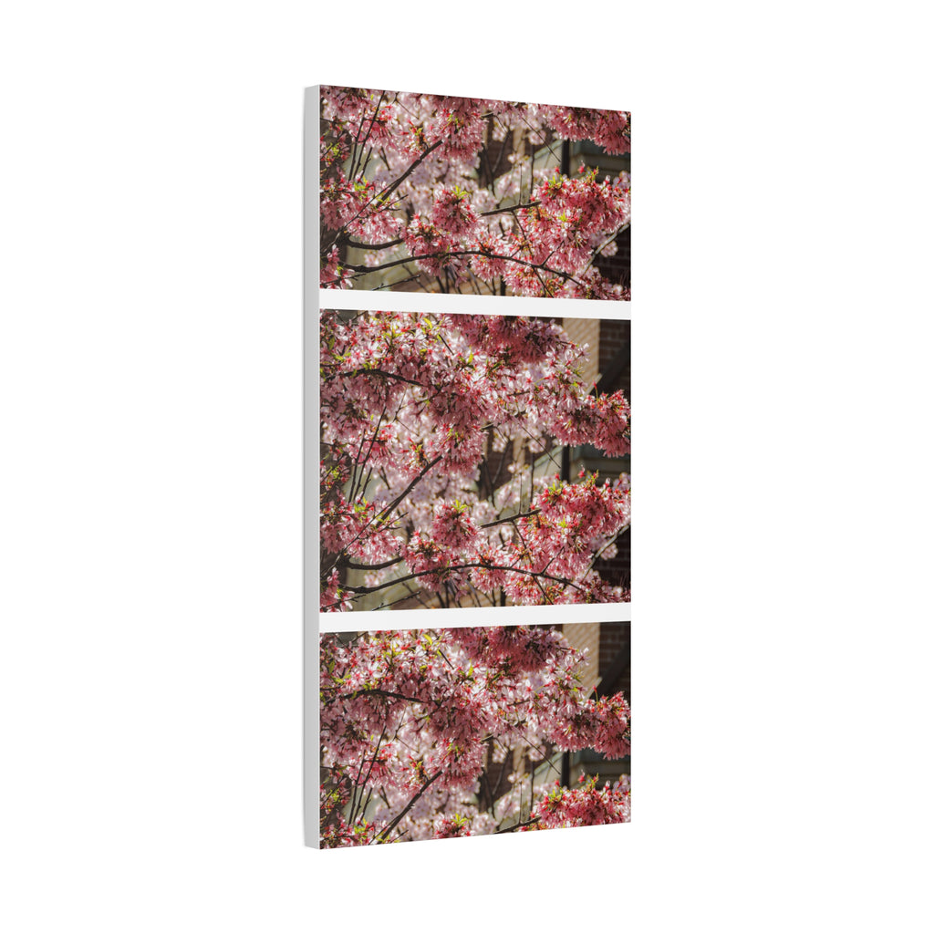 Pink Cherry Blossom Canvas Wall Art — Stretched Matte Floral Print
