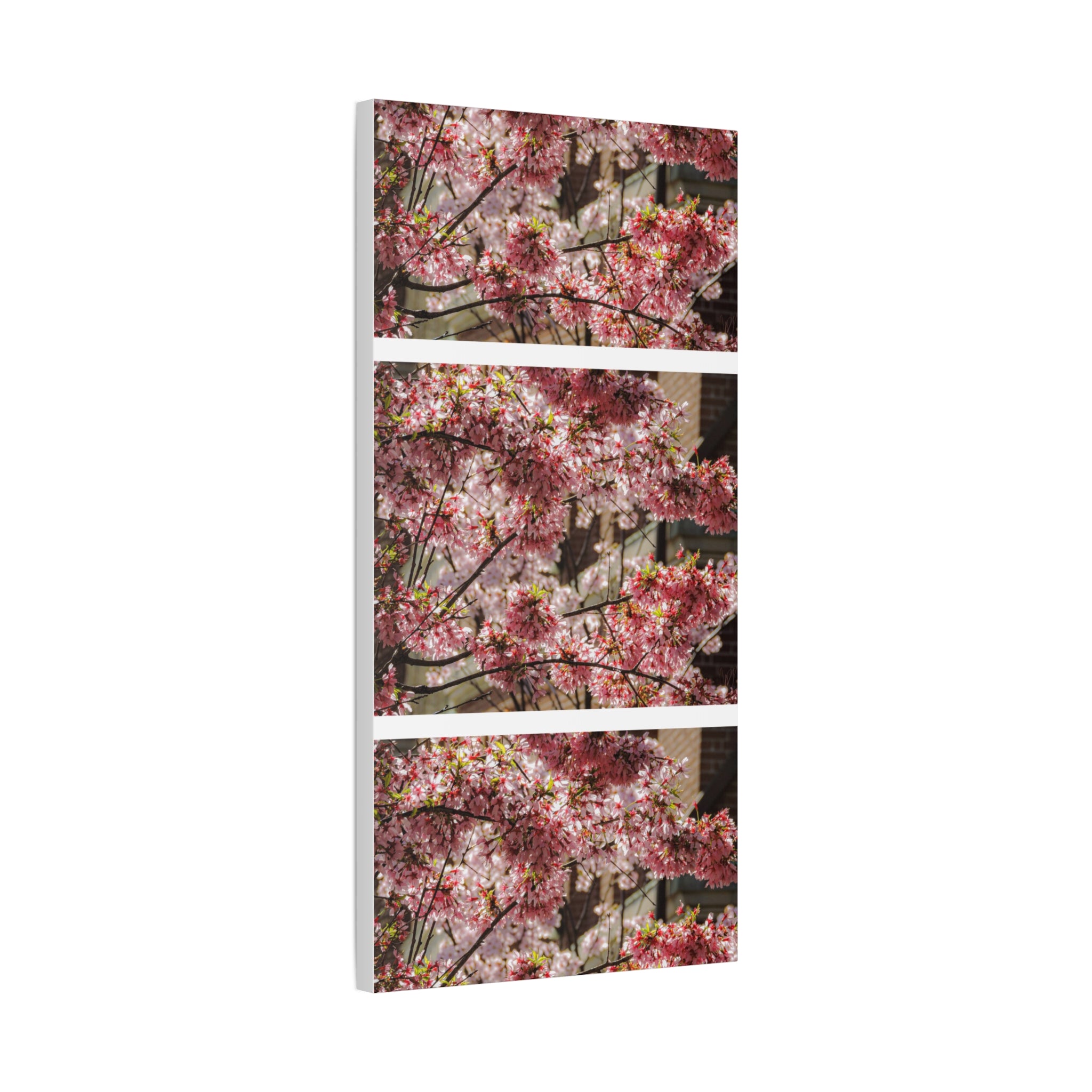 Pink Cherry Blossom Canvas Wall Art — Stretched Matte Floral Print