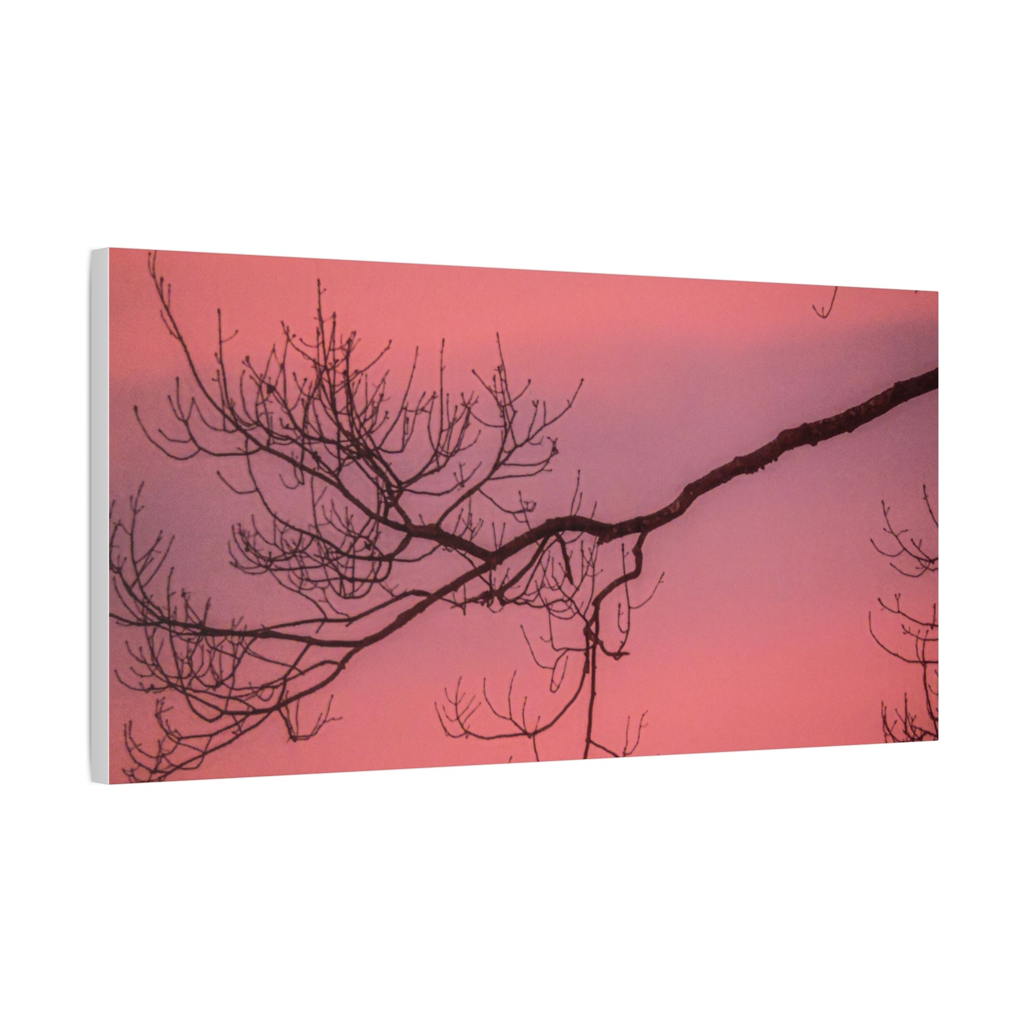 Pink Sunset Tree Canvas Print — Matte Stretched Wall Art