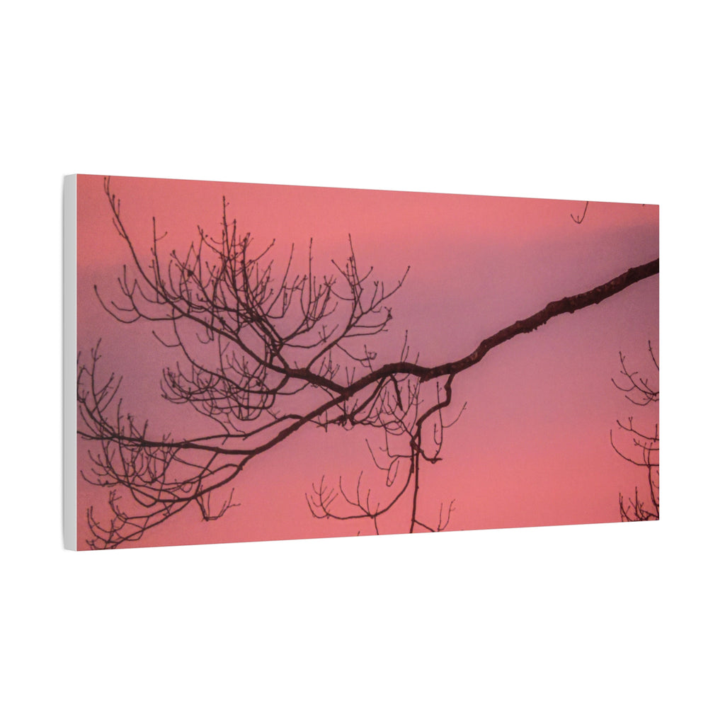 Pink Sunset Tree Canvas Print — Matte Stretched Wall Art
